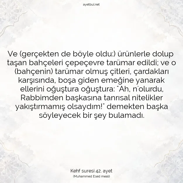 Ayetbul | Kuran Mealleri | Quran | Kehf suresi 42. ayet
