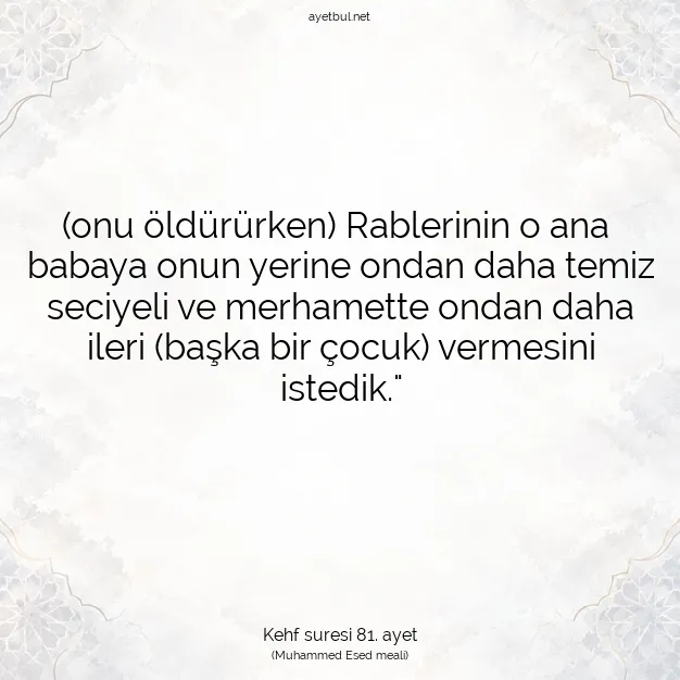 Ayetbul | Kuran Mealleri | Quran | Kehf suresi 81. ayet