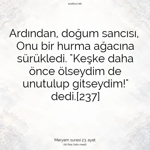 Ayetbul | Kuran Mealleri | Quran | Meryem suresi 23. ayet