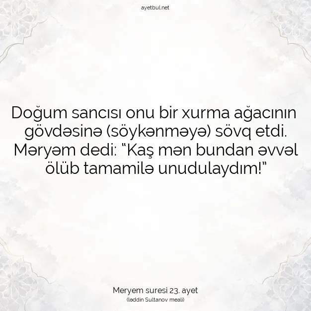 Ayetbul | Kuran Mealleri | Quran | Meryem suresi 23. ayet