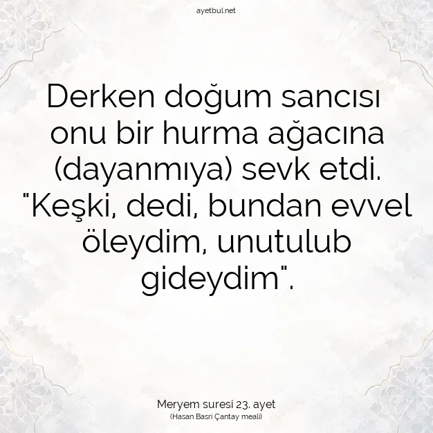 Ayetbul | Kuran Mealleri | Quran | Meryem suresi 23. ayet