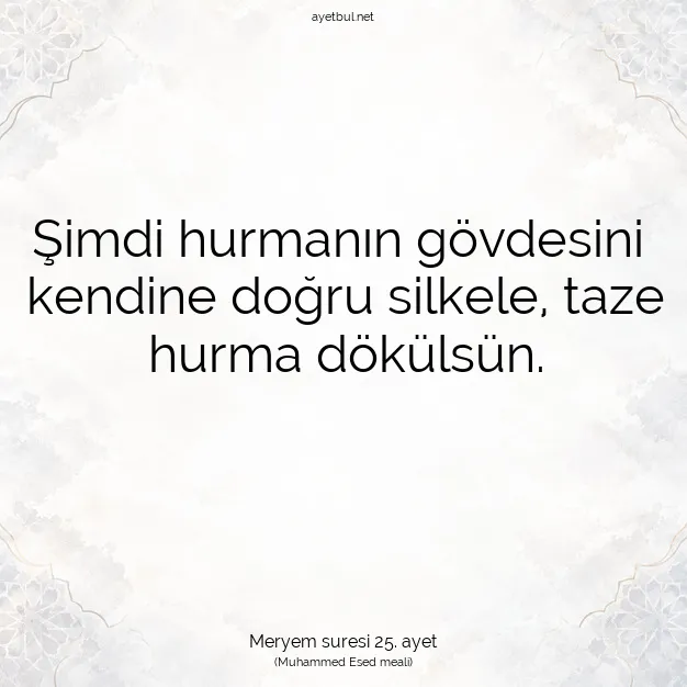 Ayetbul | Kuran Mealleri | Quran | Meryem suresi 25. ayet
