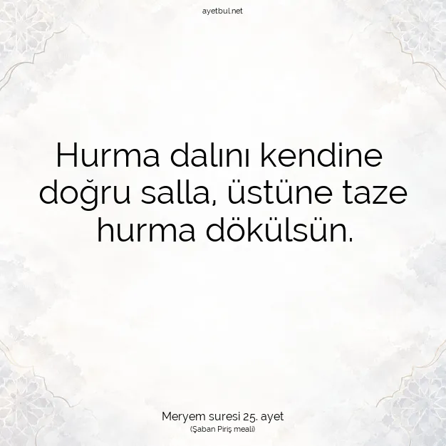 Ayetbul | Kuran Mealleri | Quran | Meryem suresi 25. ayet