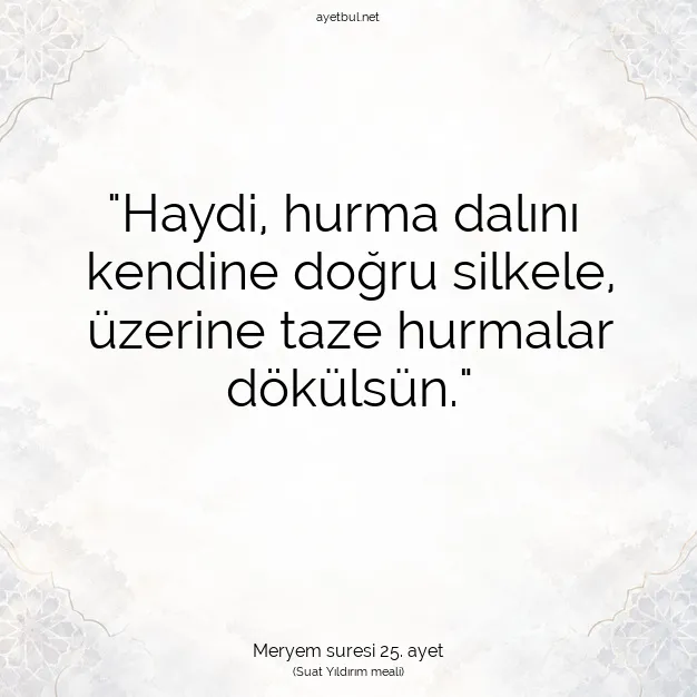 Ayetbul | Kuran Mealleri | Quran | Meryem suresi 25. ayet