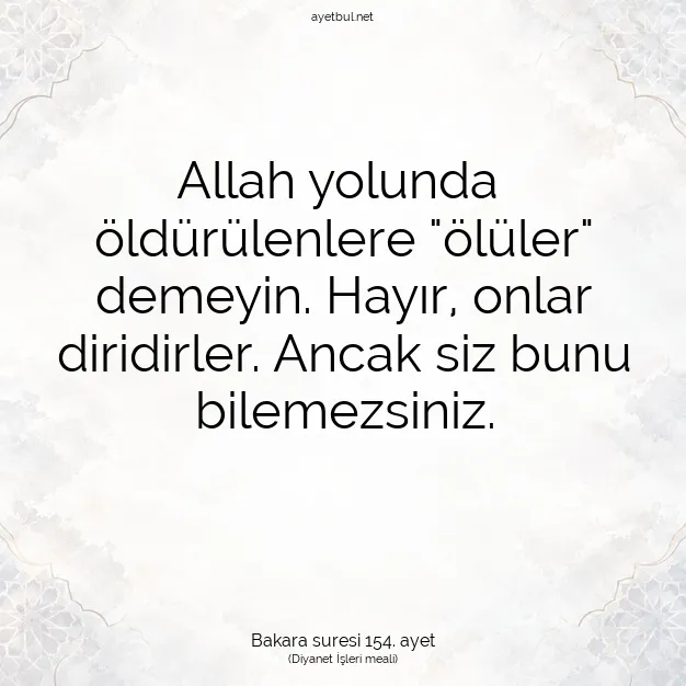 Ayetbul | Kuran Mealleri | Quran | Bakara suresi 154. ayet
