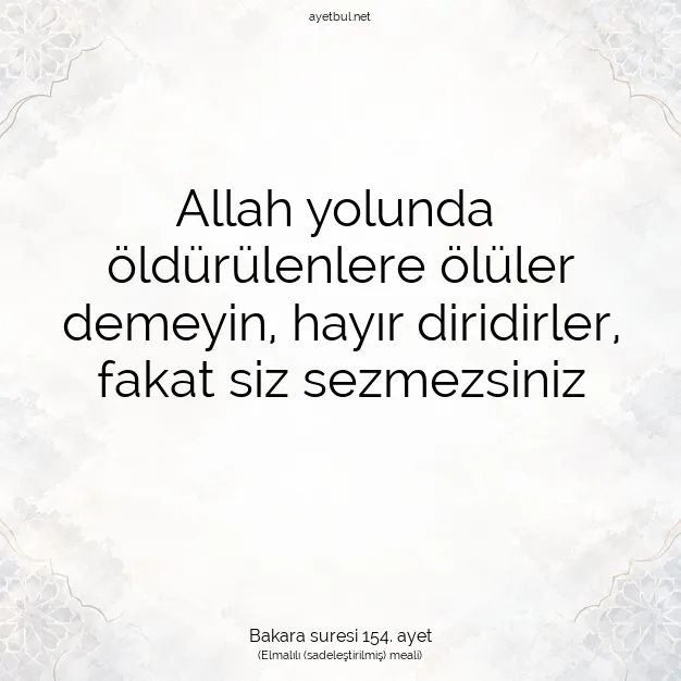Ayetbul | Kuran Mealleri | Quran | Bakara suresi 154. ayet