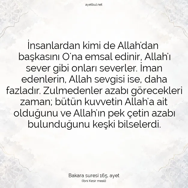 Ayetbul | Kuran Mealleri | Quran | Bakara suresi 165. ayet