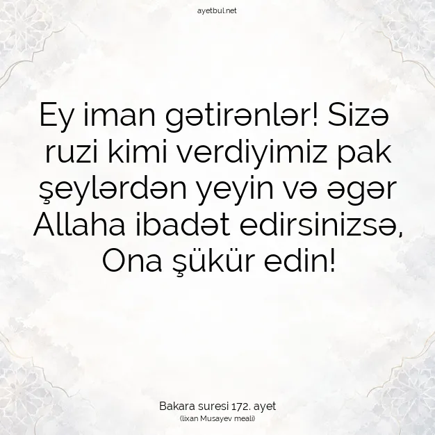 Ayetbul | Kuran Mealleri | Quran | Bakara suresi 172. ayet