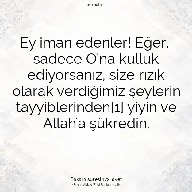 Ayetbul | Kuran Mealleri | Quran | Bakara suresi 172. ayet