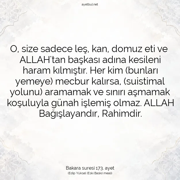 Ayetbul | Kuran Mealleri | Quran | Bakara suresi 173. ayet