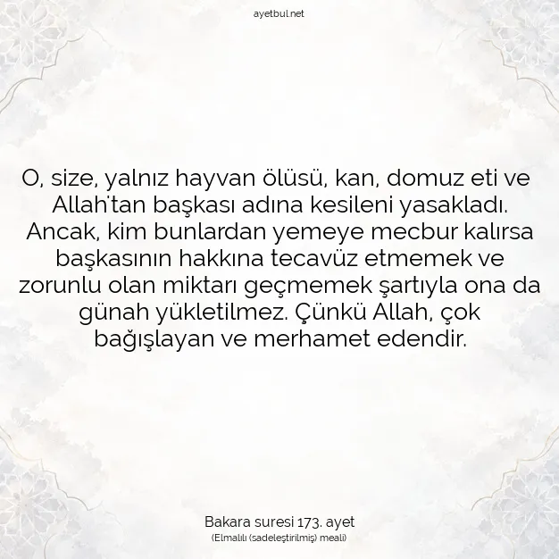 Ayetbul | Kuran Mealleri | Quran | Bakara suresi 173. ayet