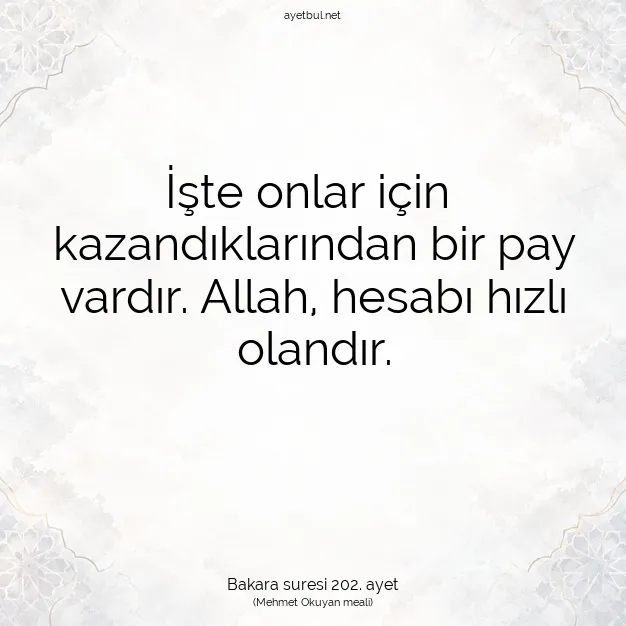 Ayetbul | Kuran Mealleri | Quran | Bakara suresi 202. ayet