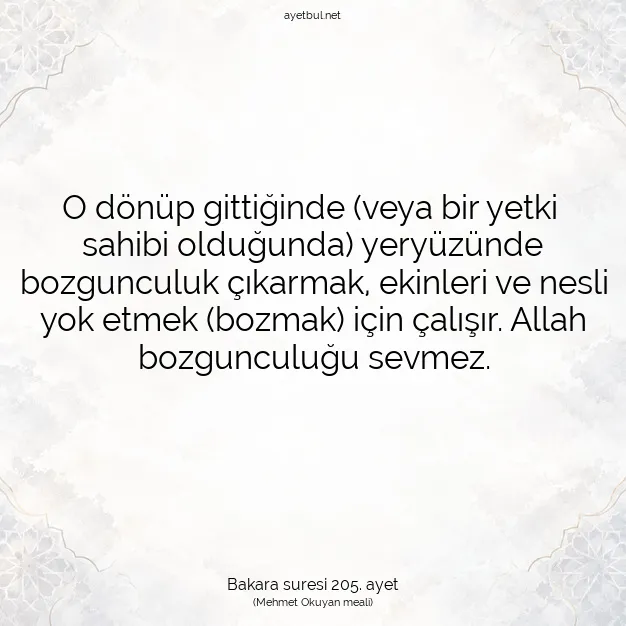 Ayetbul | Kuran Mealleri | Quran | Bakara suresi 205. ayet
