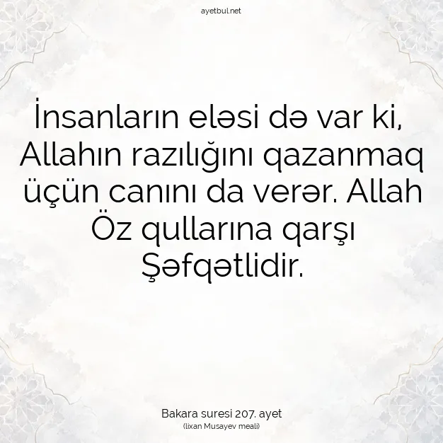 Ayetbul | Kuran Mealleri | Quran | Bakara suresi 207. ayet