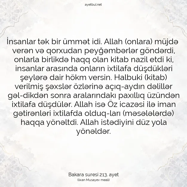 Ayetbul | Kuran Mealleri | Quran | Bakara suresi 213. ayet