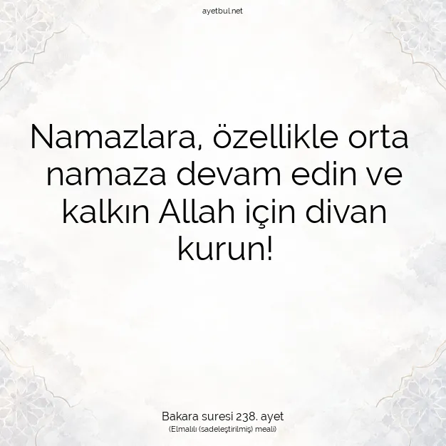 Ayetbul | Kuran Mealleri | Quran | Bakara suresi 238. ayet