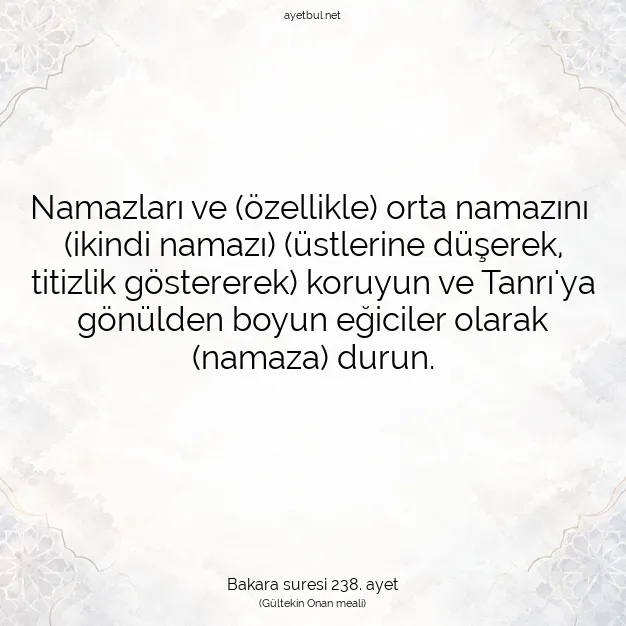 Ayetbul | Kuran Mealleri | Quran | Bakara suresi 238. ayet