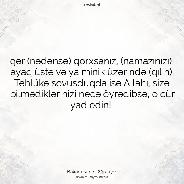 Ayetbul | Kuran Mealleri | Quran | Bakara suresi 239. ayet