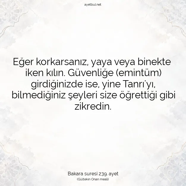 Ayetbul | Kuran Mealleri | Quran | Bakara suresi 239. ayet