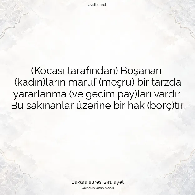 Ayetbul | Kuran Mealleri | Quran | Bakara suresi 241. ayet