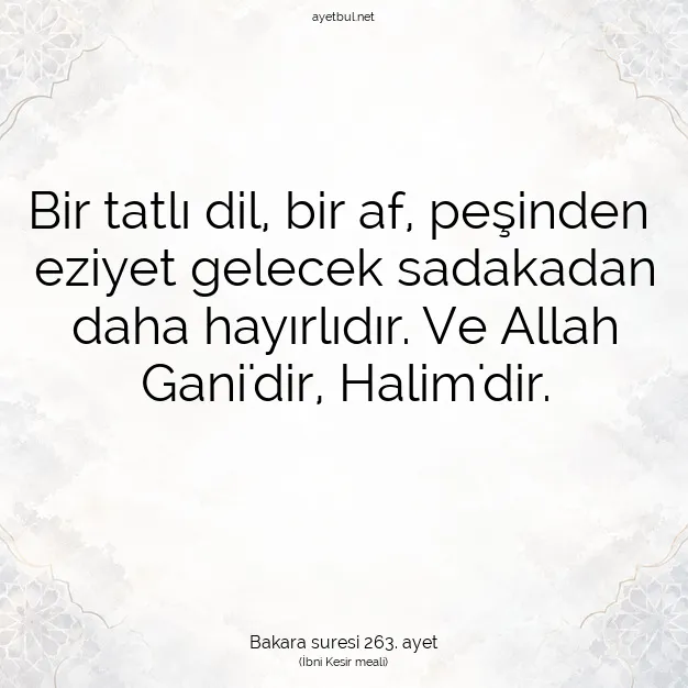 Ayetbul | Kuran Mealleri | Quran | Bakara suresi 263. ayet