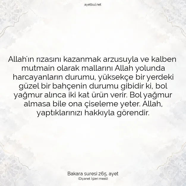 Ayetbul | Kuran Mealleri | Quran | Bakara suresi 265. ayet