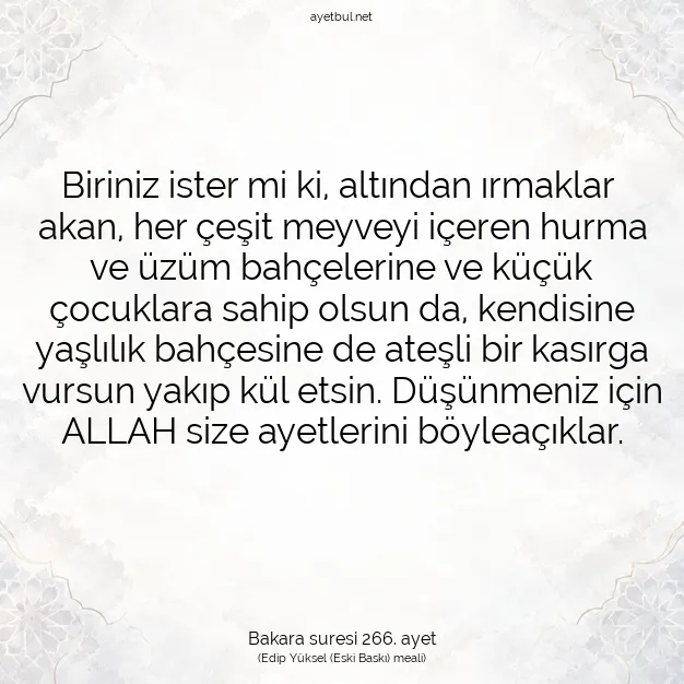 Ayetbul | Kuran Mealleri | Quran | Bakara suresi 266. ayet