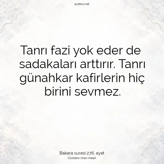 Ayetbul | Kuran Mealleri | Quran | Bakara suresi 276. ayet
