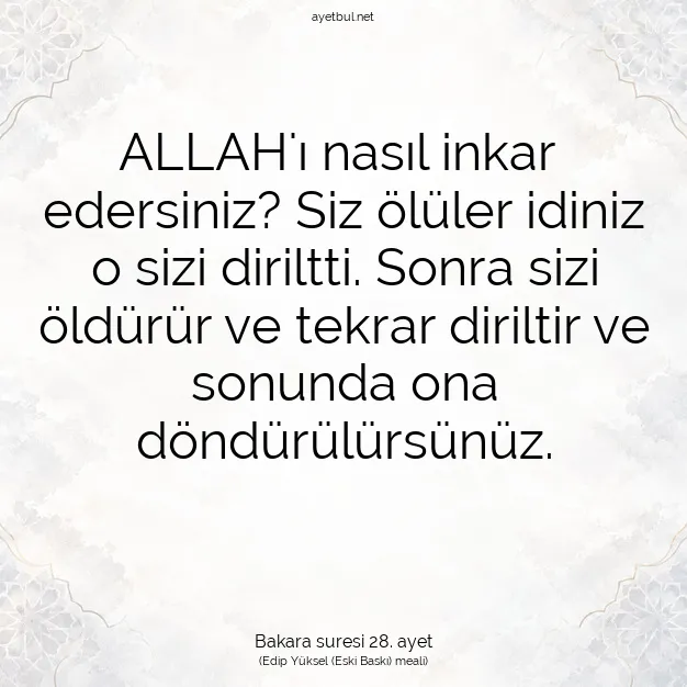 Ayetbul | Kuran Mealleri | Quran | Bakara suresi 28. ayet