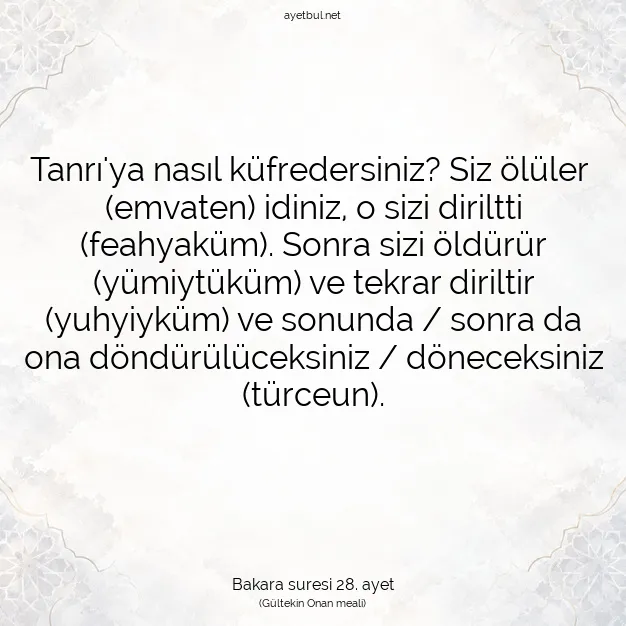 Ayetbul | Kuran Mealleri | Quran | Bakara suresi 28. ayet