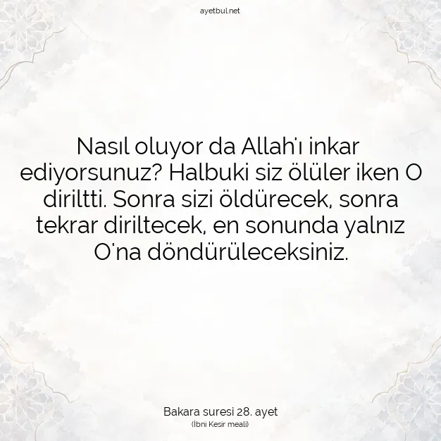 Ayetbul | Kuran Mealleri | Quran | Bakara suresi 28. ayet