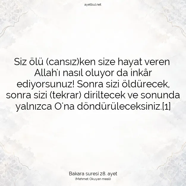 Ayetbul | Kuran Mealleri | Quran | Bakara suresi 28. ayet