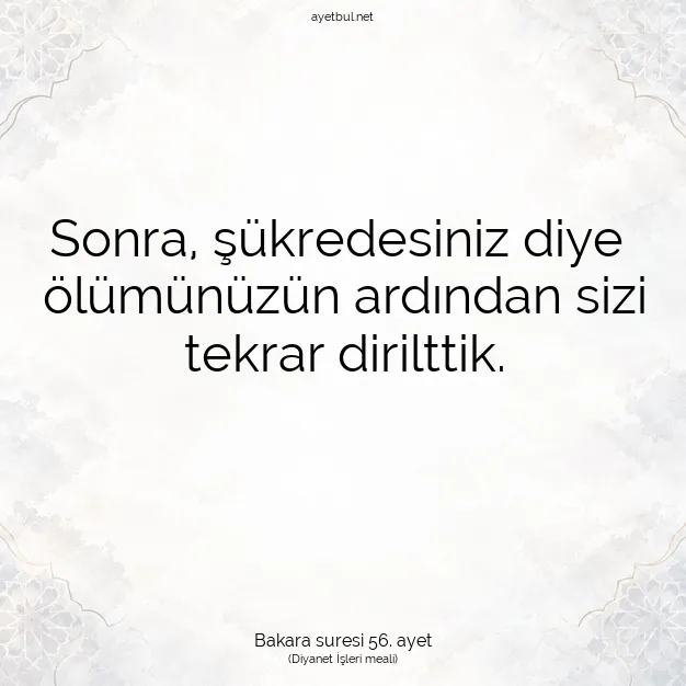 Ayetbul | Kuran Mealleri | Quran | Bakara suresi 56. ayet
