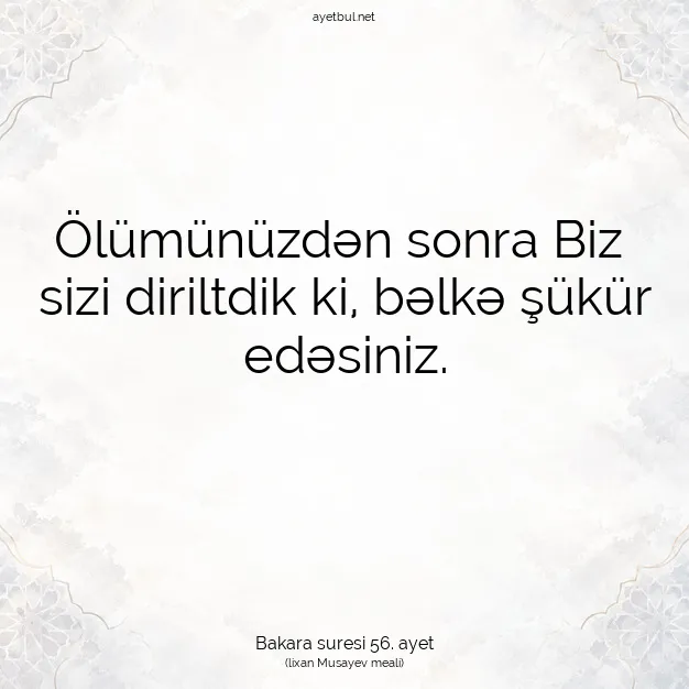 Ayetbul | Kuran Mealleri | Quran | Bakara suresi 56. ayet