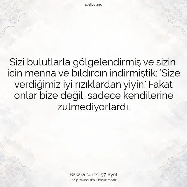 Ayetbul | Kuran Mealleri | Quran | Bakara suresi 57. ayet
