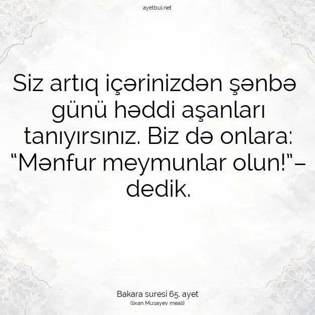 Ayetbul | Kuran Mealleri | Quran | Bakara suresi 65. ayet
