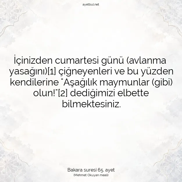 Ayetbul | Kuran Mealleri | Quran | Bakara suresi 65. ayet