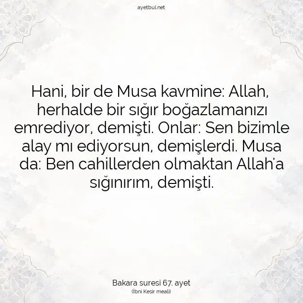 Ayetbul | Kuran Mealleri | Quran | Bakara suresi 67. ayet