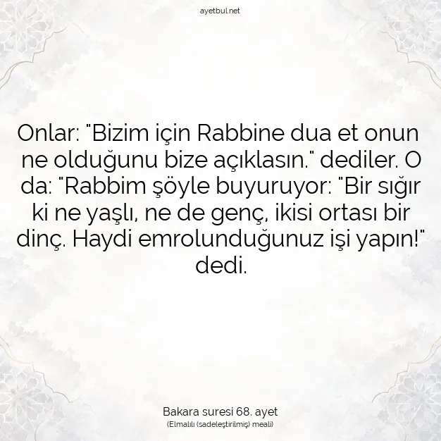 Ayetbul | Kuran Mealleri | Quran | Bakara suresi 68. ayet