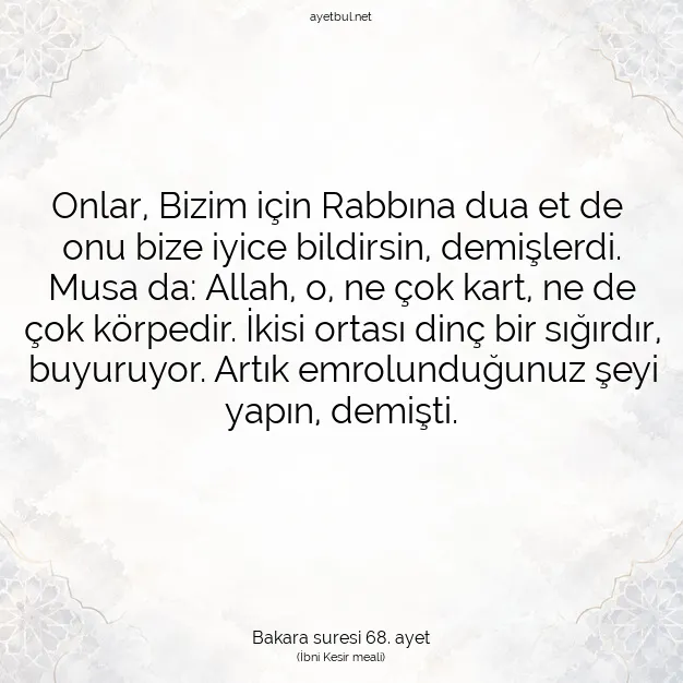Ayetbul | Kuran Mealleri | Quran | Bakara suresi 68. ayet