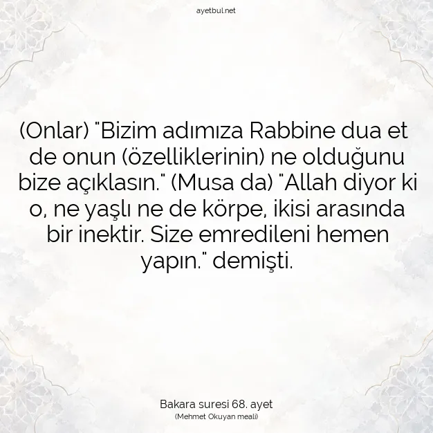 Ayetbul | Kuran Mealleri | Quran | Bakara suresi 68. ayet