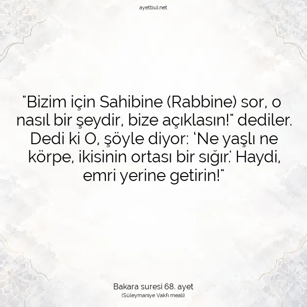 Ayetbul | Kuran Mealleri | Quran | Bakara suresi 68. ayet