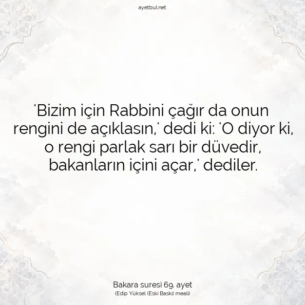 Ayetbul | Kuran Mealleri | Quran | Bakara suresi 69. ayet