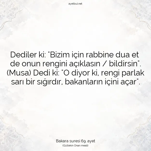 Ayetbul | Kuran Mealleri | Quran | Bakara suresi 69. ayet
