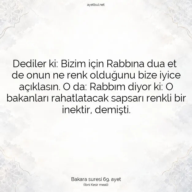 Ayetbul | Kuran Mealleri | Quran | Bakara suresi 69. ayet