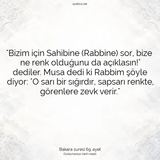 Ayetbul | Kuran Mealleri | Quran | Bakara suresi 69. ayet