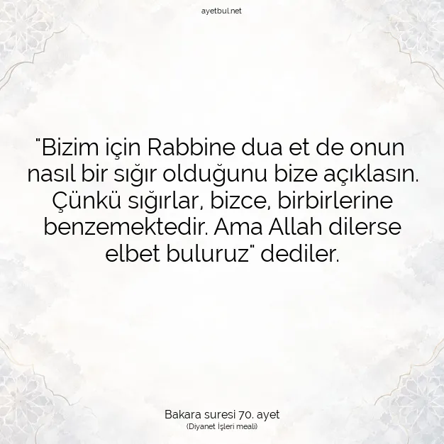 Ayetbul | Kuran Mealleri | Quran | Bakara suresi 70. ayet
