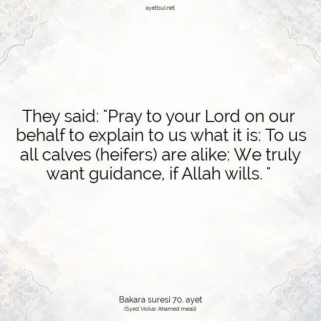 Ayetbul | Kuran Mealleri | Quran | Bakara suresi 70. ayet