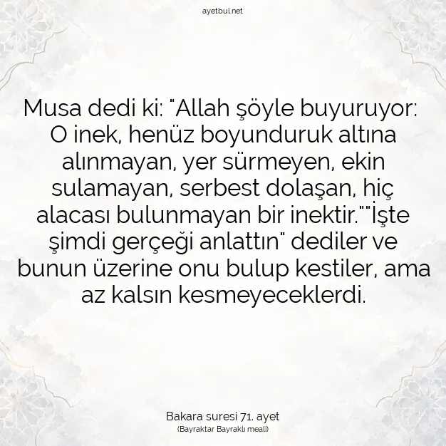 Ayetbul | Kuran Mealleri | Quran | Bakara suresi 71. ayet