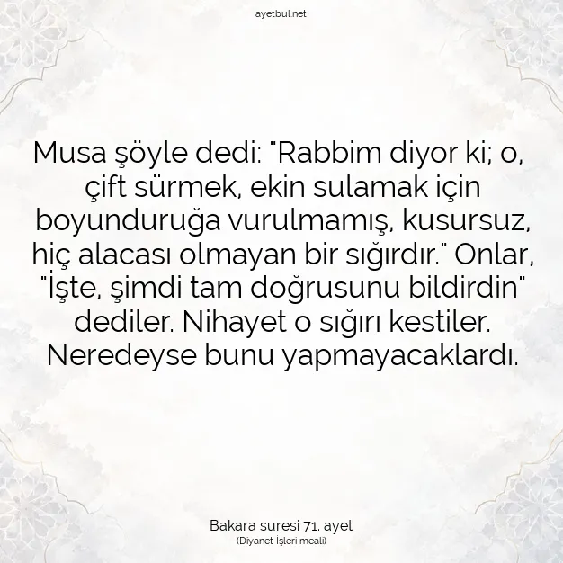 Ayetbul | Kuran Mealleri | Quran | Bakara suresi 71. ayet